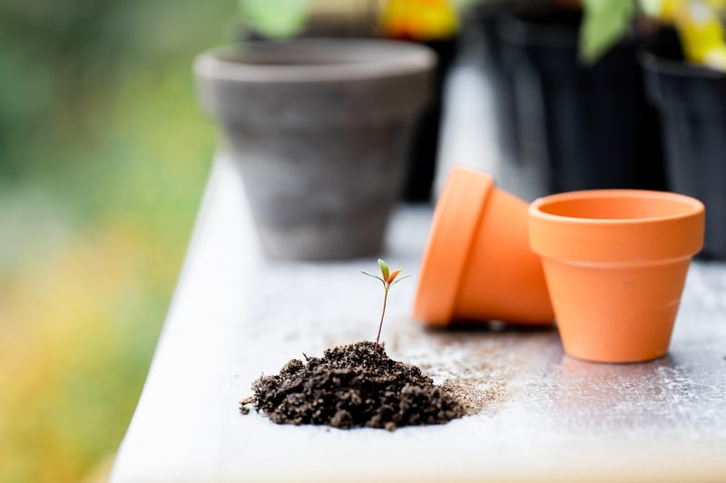 Herb Potting Ideas