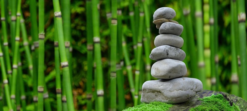 Zen Oasis Retreat