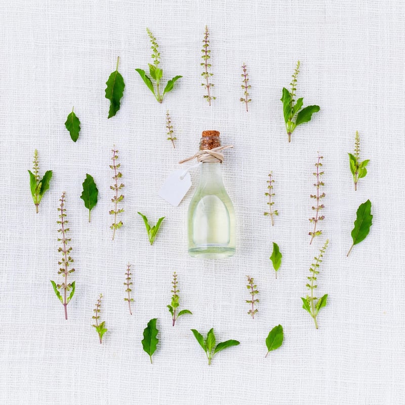 Sage Herb